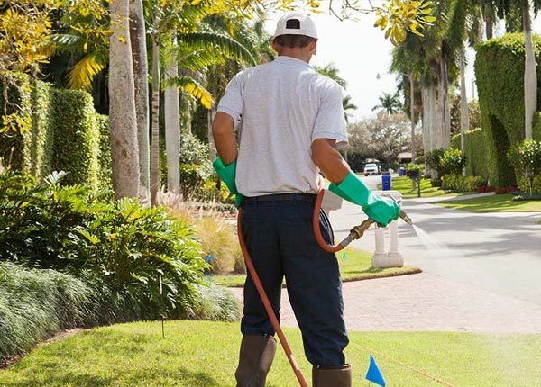 About Honeyville UT Pest Control